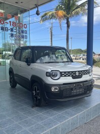 スズキは乗用車も魅力的！！